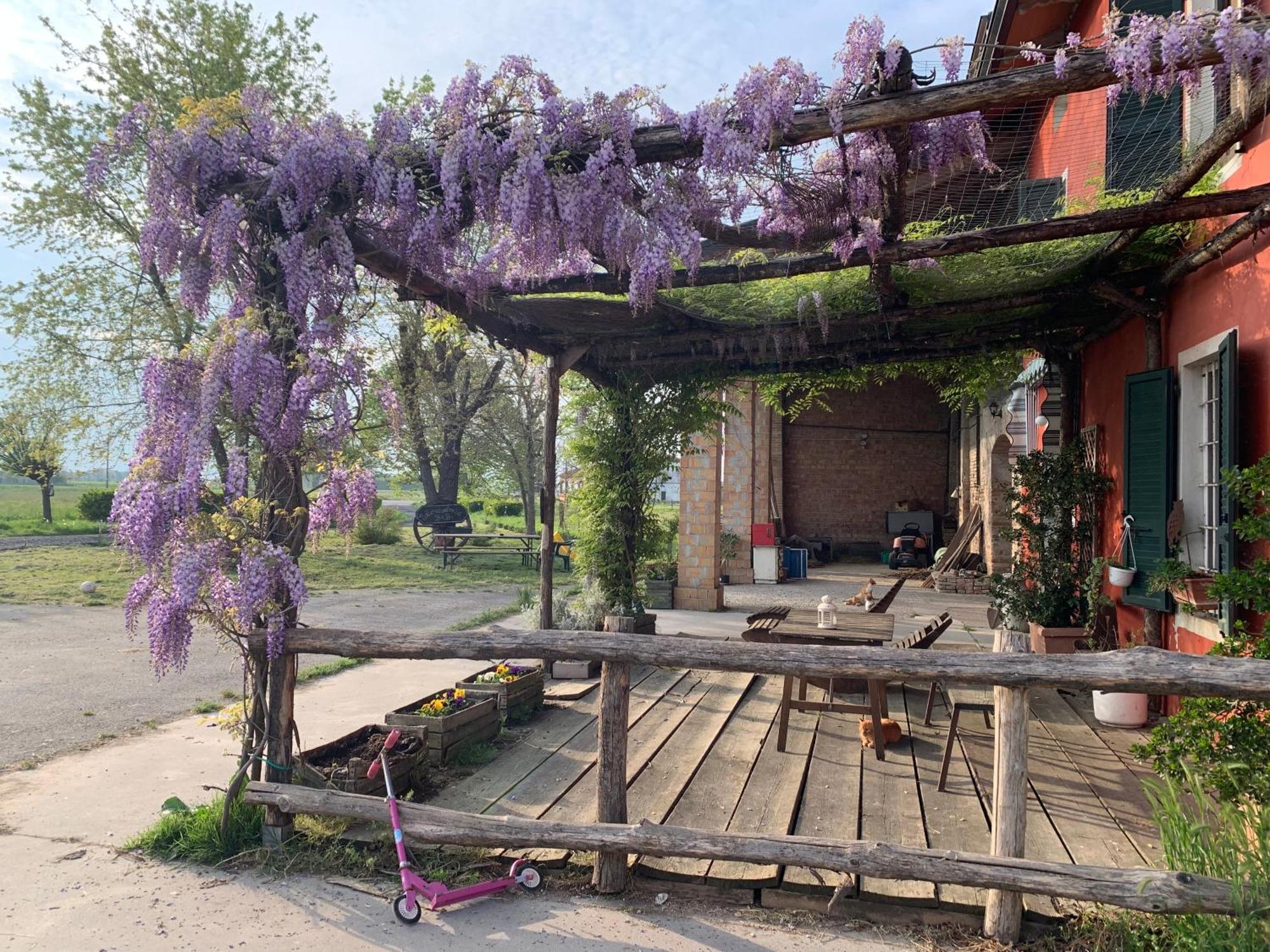 Willa Fattoria Amelia Santa Caterina  Zewnętrze zdjęcie